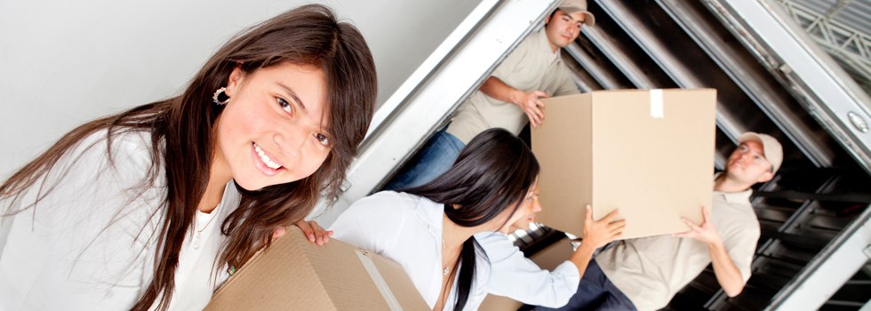 Professional Removalists Rokewood